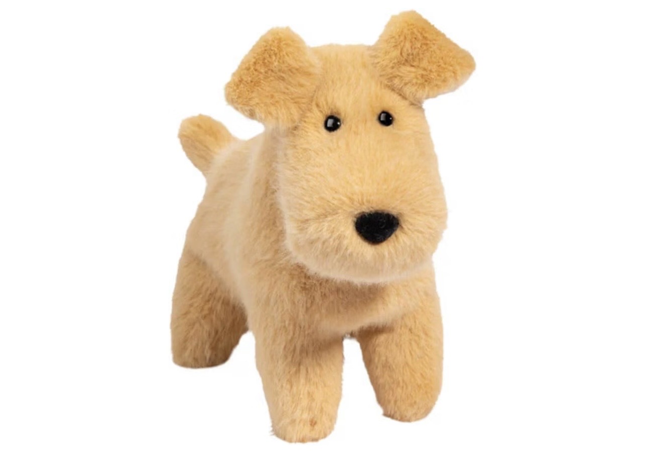 ぽっちゃりマズルが尊い。Douglasの「Tim Tan Dog」で我が家に癒やしが増えました